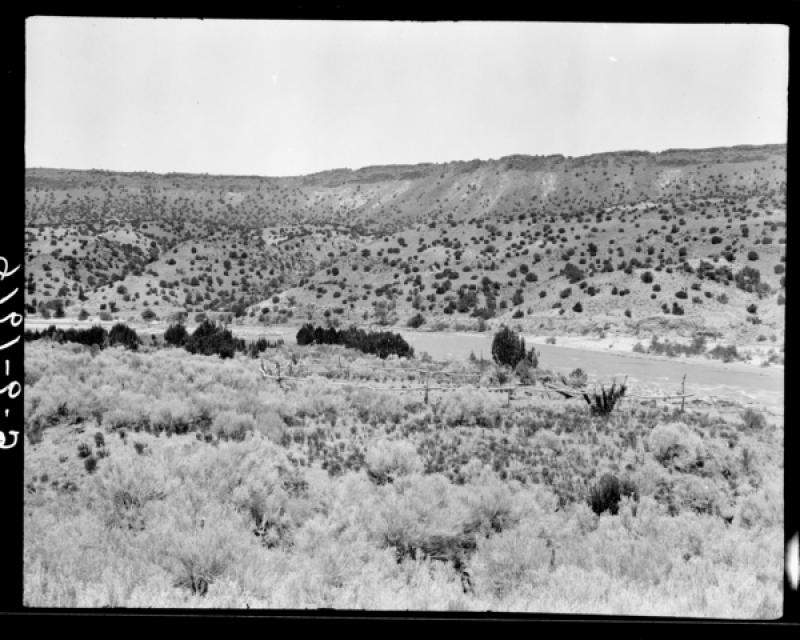 azu_shantz_19160626_e_9_m.jpg azu_shantz_19160626_e_9_m.jpg