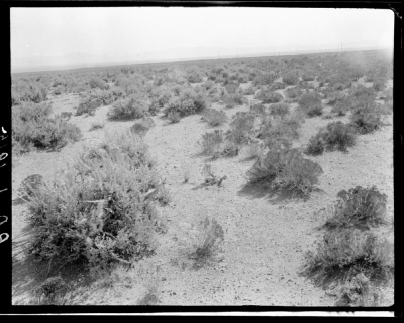 azu_shantz_19150909_pp_1_m.jpg azu_shantz_19150909_pp_1_m.jpg