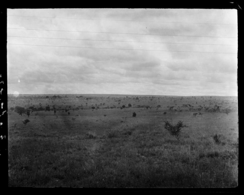 azu_shantz_19200420_38285_m.jpg azu_shantz_19200420_38285_m.jpg