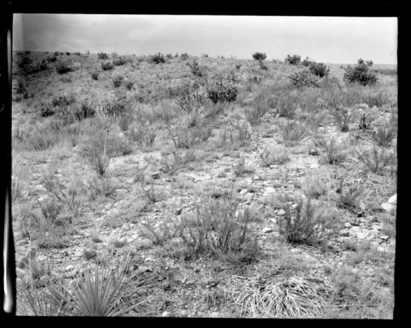 azu_shantz_19490711_c_12_m.jpg azu_shantz_19490711_c_12_m.jpg