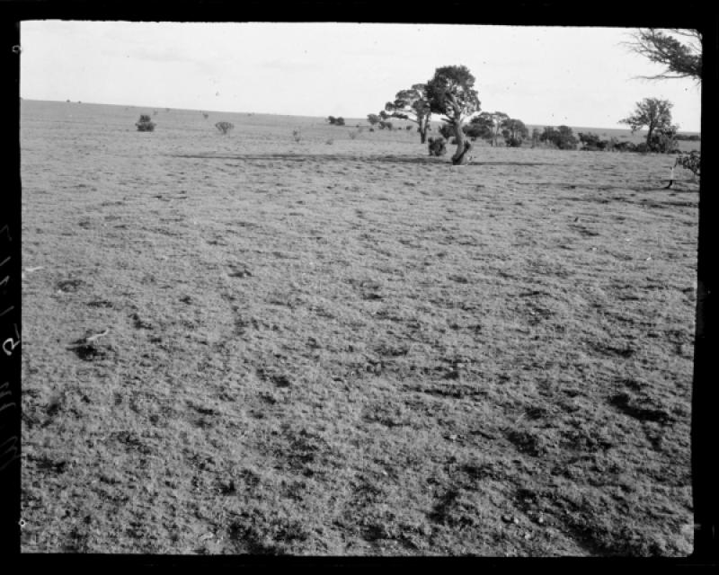 azu_shantz_19171207_mm_5_m.jpg azu_shantz_19171207_mm_5_m.jpg