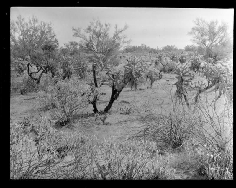 azu_shantz_19311211_bb_6_m.jpg azu_shantz_19311211_bb_6_m.jpg