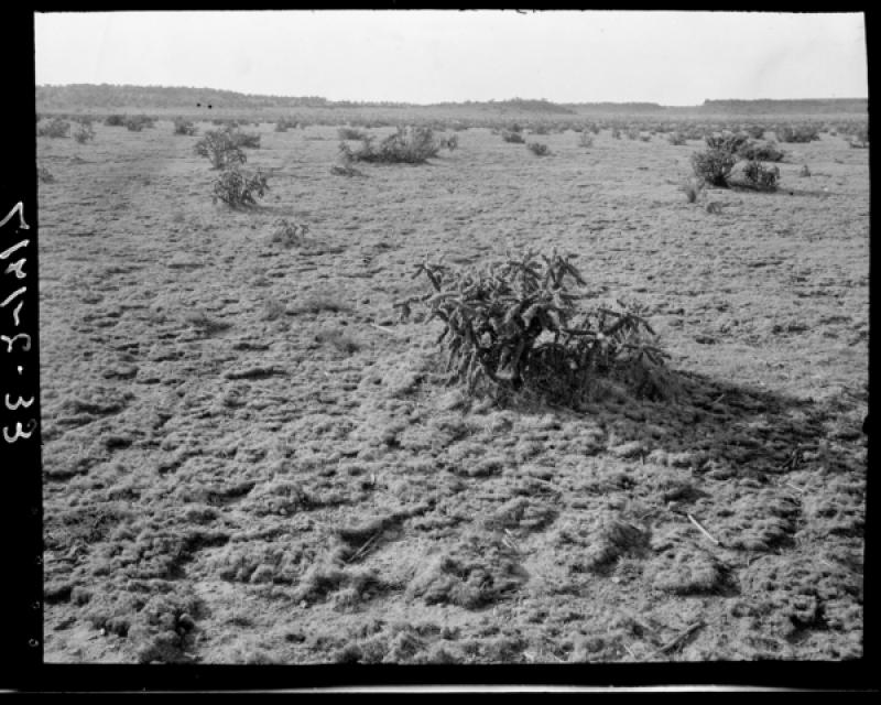 azu_shantz_19171121_ee_2_m.jpg azu_shantz_19171121_ee_2_m.jpg