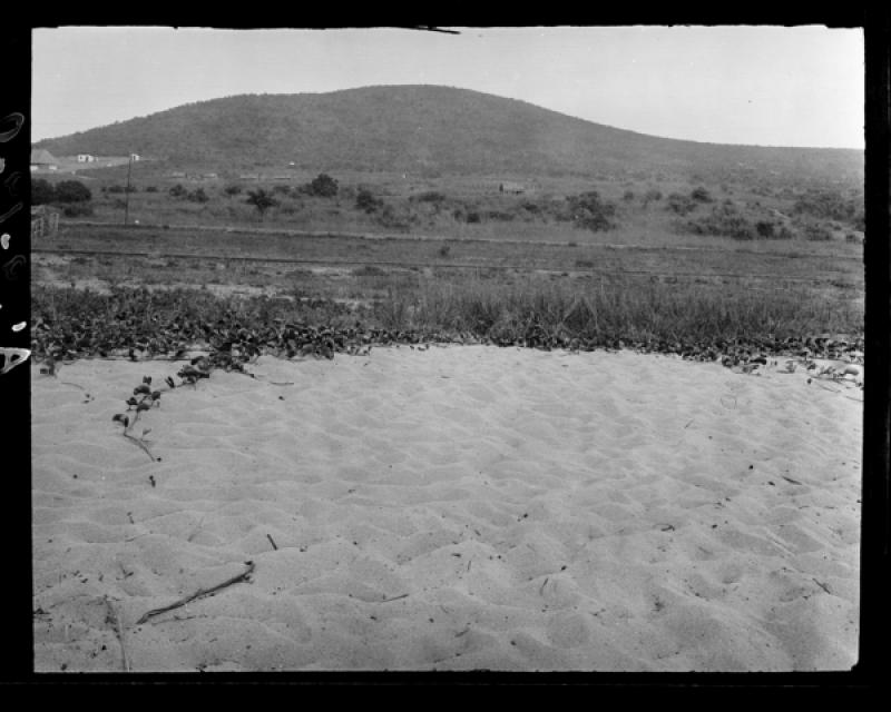 azu_shantz_19200215_37453_m.jpg azu_shantz_19200215_37453_m.jpg