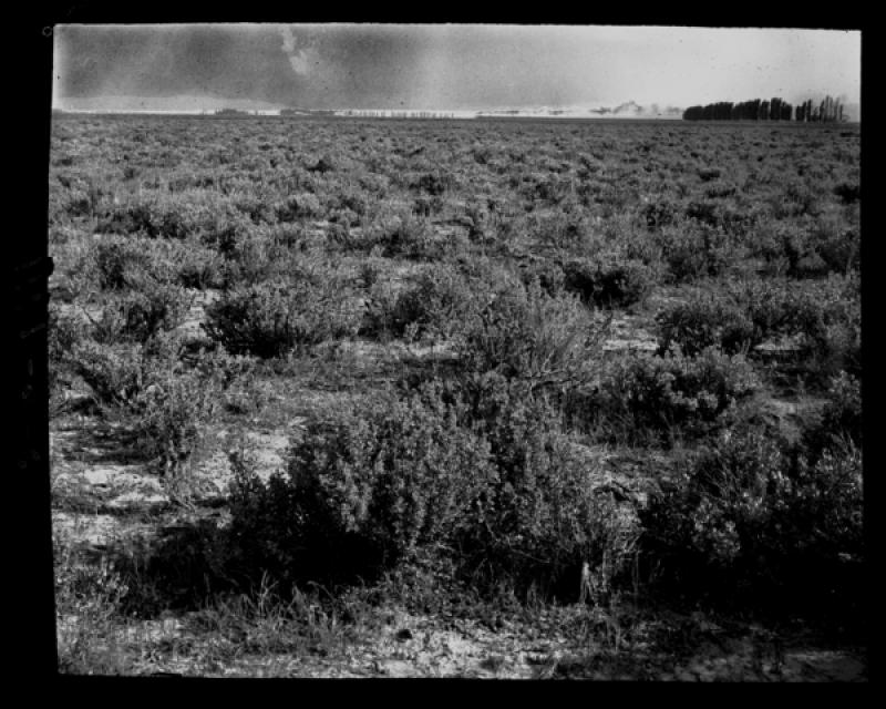 azu_shantz_19110725_s_6_m.jpg azu_shantz_19110725_s_6_m.jpg