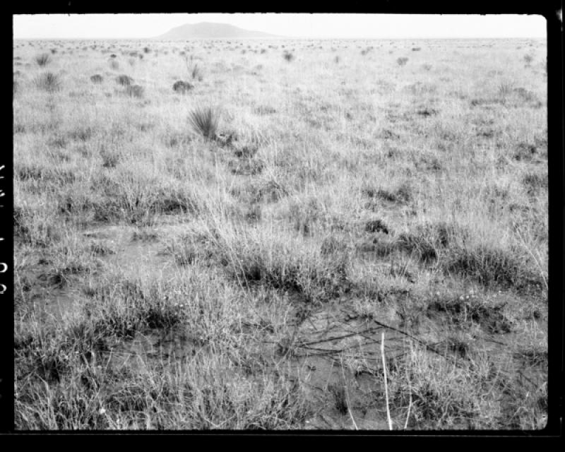 azu_shantz_19161009_pp_8_m.jpg azu_shantz_19161009_pp_8_m.jpg