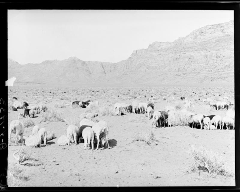 azu_shantz_19330606_d_4_m.jpg azu_shantz_19330606_d_4_m.jpg