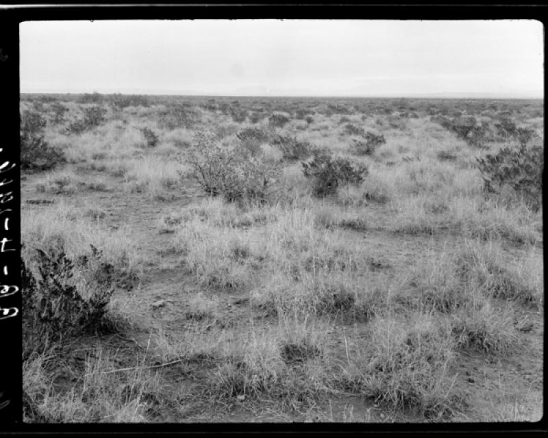 azu_shantz_19161010_rr_4_m.jpg azu_shantz_19161010_rr_4_m.jpg