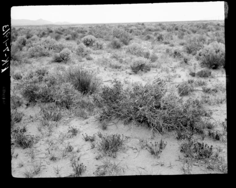 azu_shantz_19130828_kk_7_m.jpg azu_shantz_19130828_kk_7_m.jpg