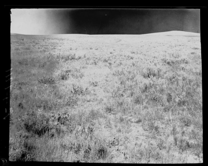 azu_shantz_19110727_v_4_m.jpg azu_shantz_19110727_v_4_m.jpg