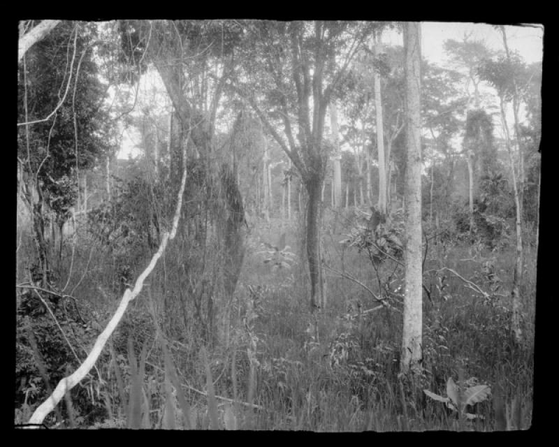 azu_shantz_19200127_37298_m.jpg azu_shantz_19200127_37298_m.jpg