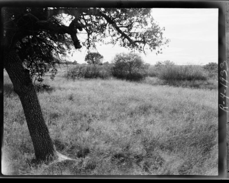 azu_shantz_19330928_r_4_m.jpg azu_shantz_19330928_r_4_m.jpg