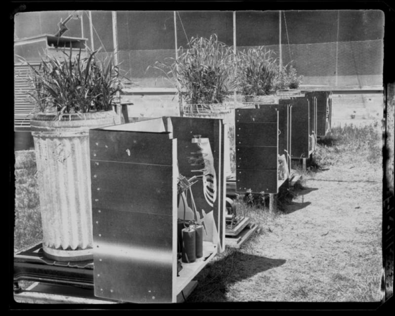 azu_shantz_19120619_f_12_m.jpg azu_shantz_19120619_f_12_m.jpg