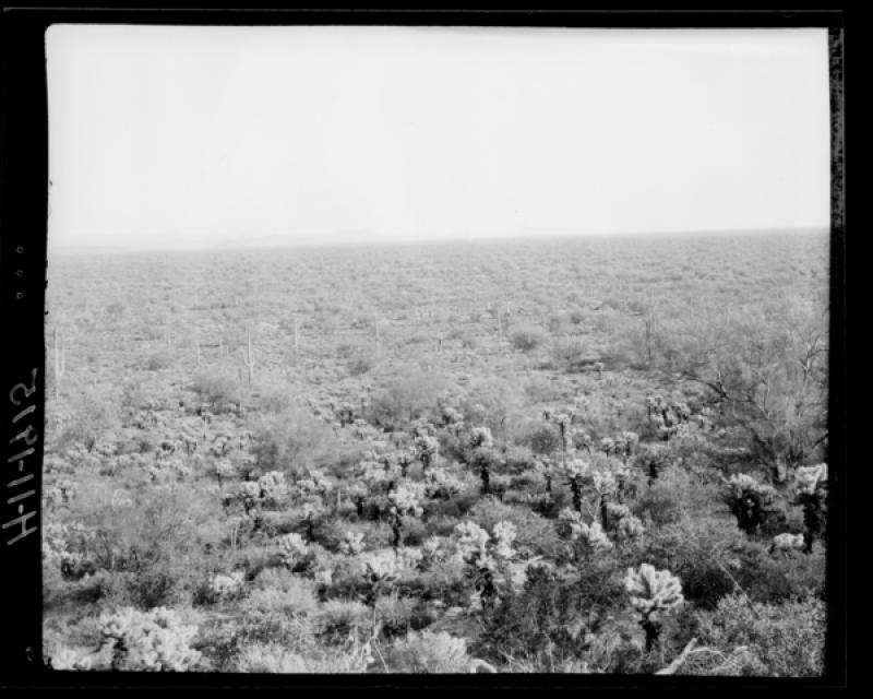 azu_shantz_19150315_h_11_m.jpg azu_shantz_19150315_h_11_m.jpg