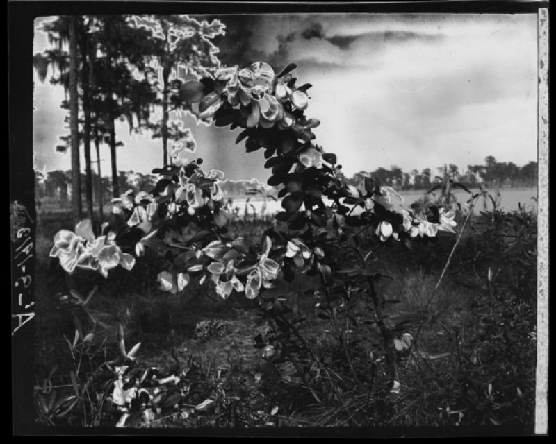 azu_shantz_19130314_a1_3_m.jpg azu_shantz_19130314_a1_3_m.jpg