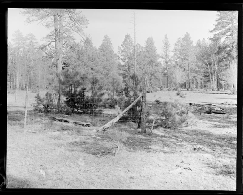 azu_shantz_19330606_e_9_m.jpg azu_shantz_19330606_e_9_m.jpg