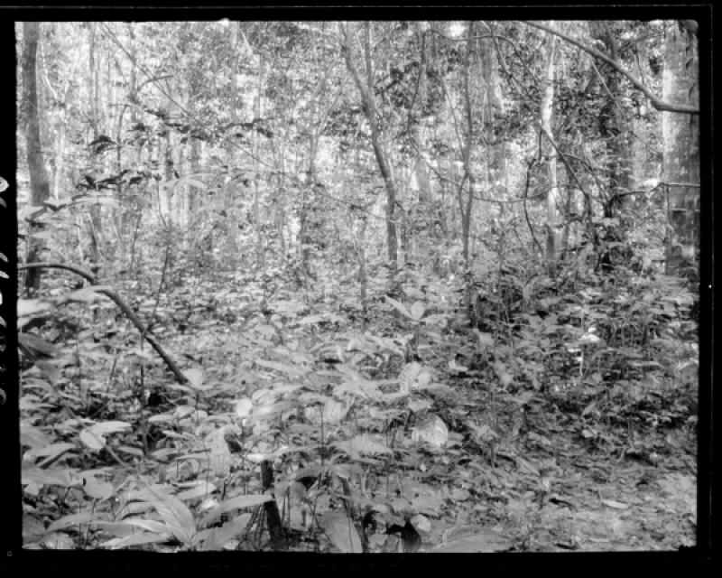 azu_shantz_19200125_37266_m.jpg azu_shantz_19200125_37266_m.jpg