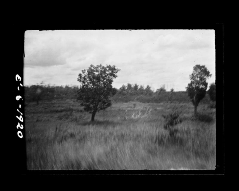 azu_shantz_19200330_37970_m.jpg azu_shantz_19200330_37970_m.jpg