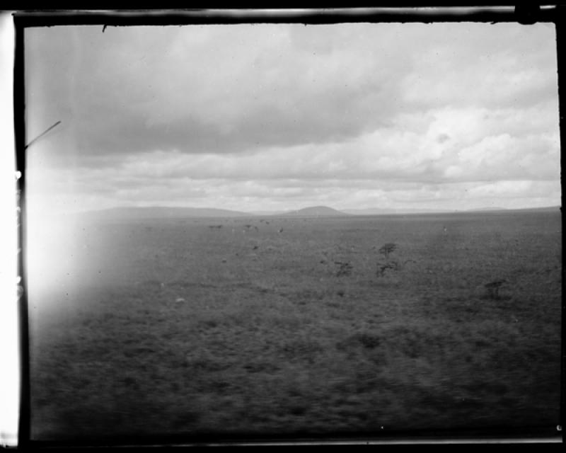 azu_shantz_19200420_38291_m.jpg azu_shantz_19200420_38291_m.jpg