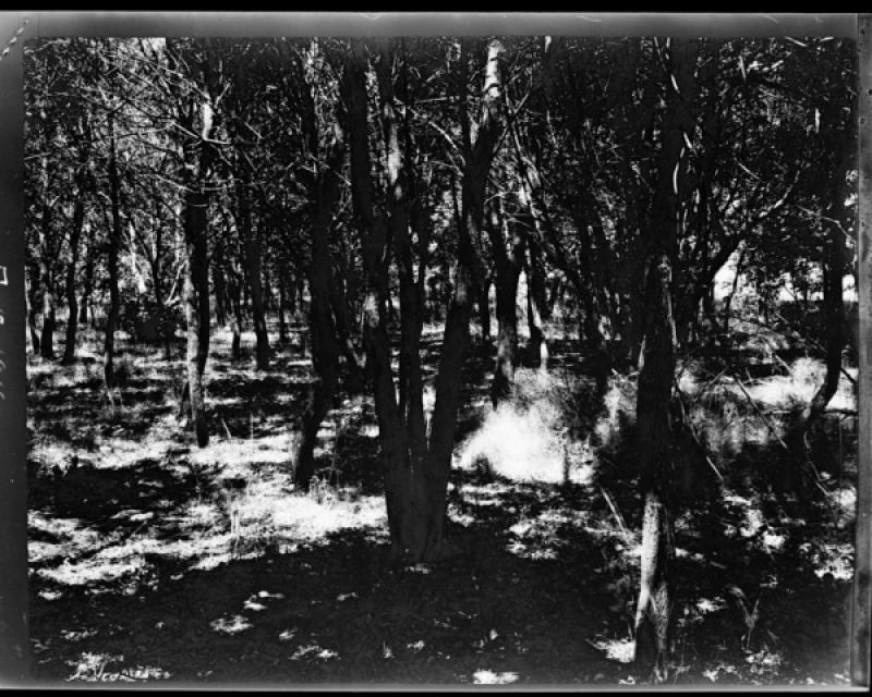 azu_shantz_19160630_f_5_m.jpg azu_shantz_19160630_f_5_m.jpg