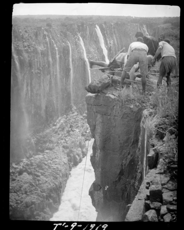 azu_shantz_19191108_36730_m.jpg azu_shantz_19191108_36730_m.jpg