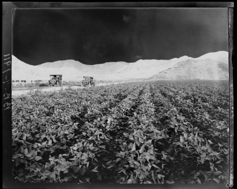 azu_shantz_19110819_bb_7_m.jpg azu_shantz_19110819_bb_7_m.jpg