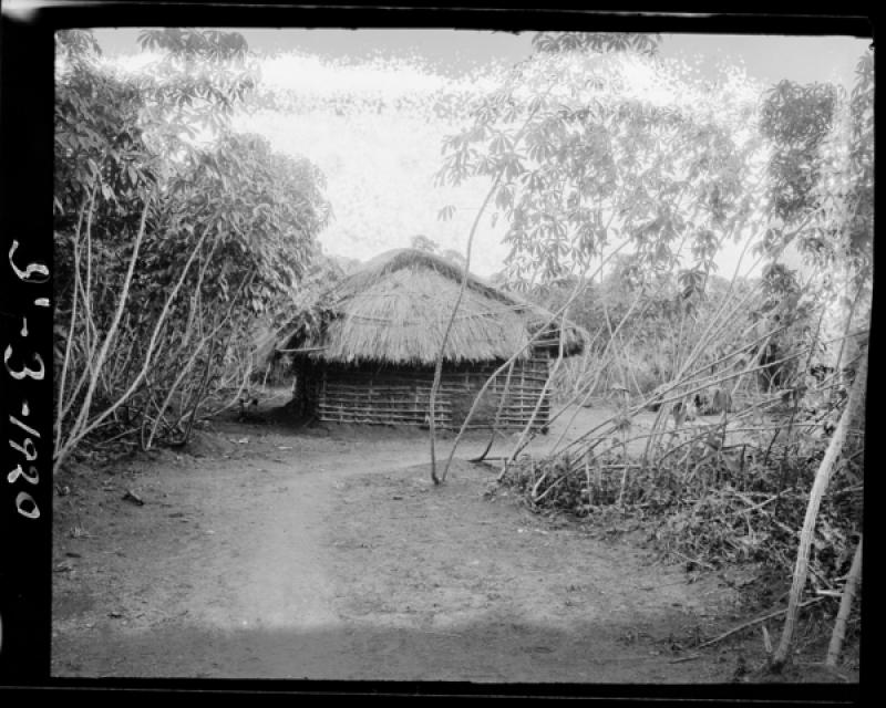 azu_shantz_19200224_37549_m.jpg azu_shantz_19200224_37549_m.jpg