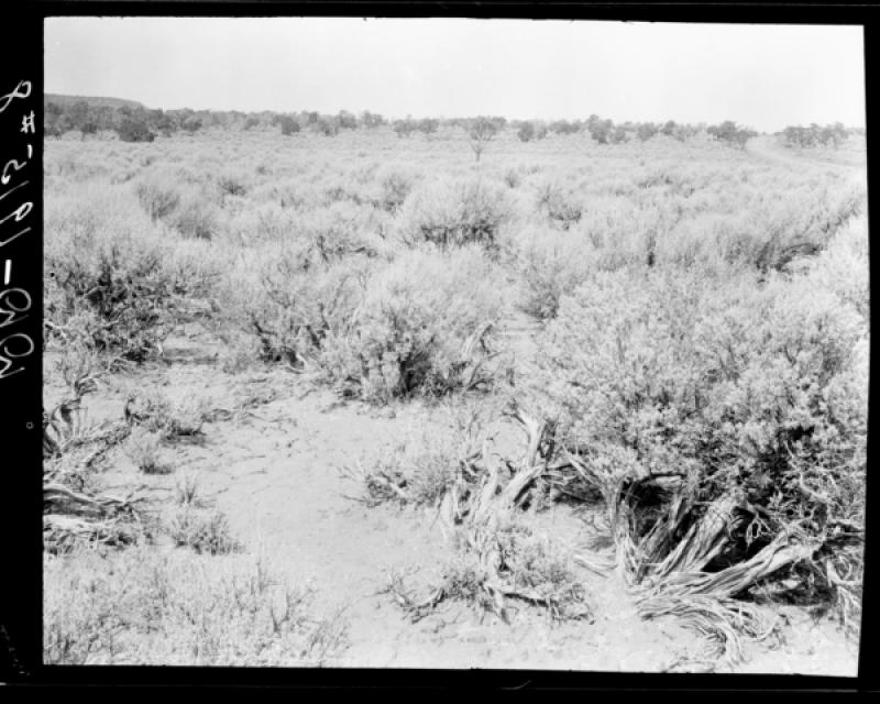 azu_shantz_19150827_dd_8_m.jpg azu_shantz_19150827_dd_8_m.jpg