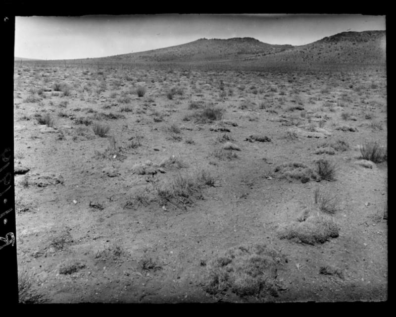 azu_shantz_19190917_36298_m.jpg azu_shantz_19190917_36298_m.jpg