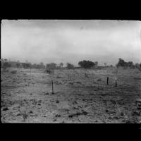 azu_shantz_19191002_36401_m.jpg