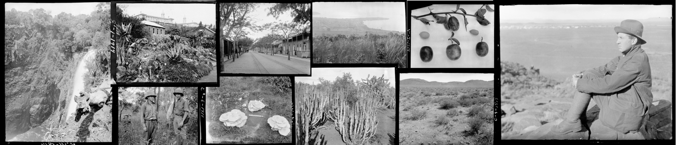 Special Collections Online Exhibits